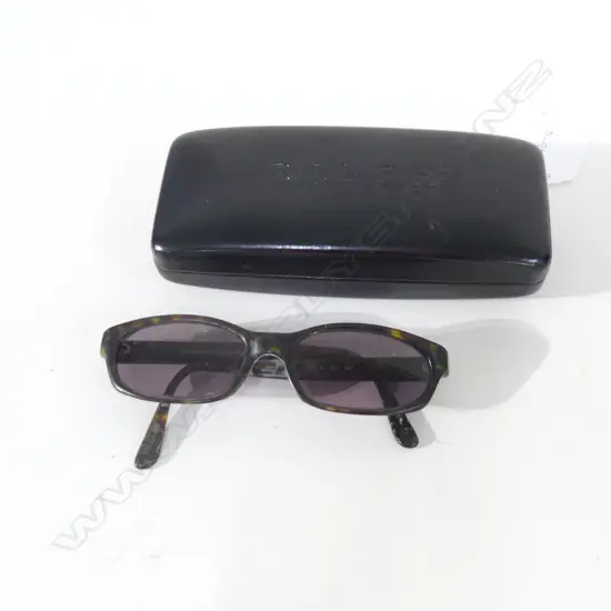 VINTAGE EMPORIO ARMANI SUNGLASSES (IN RALPH LAUREN CASE) 