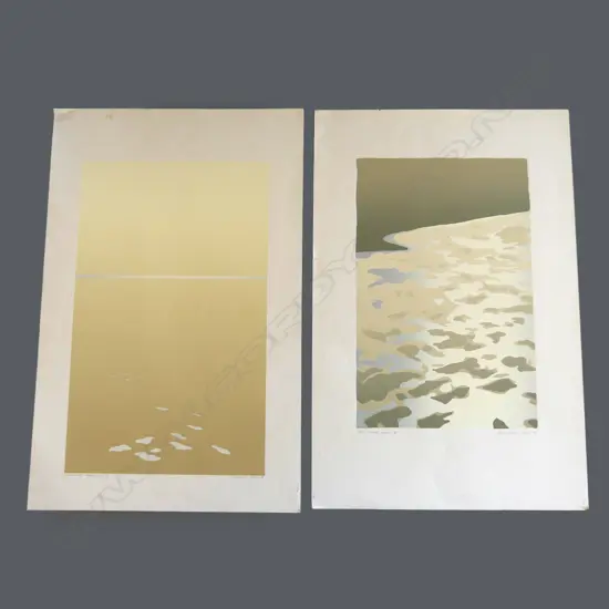 2 MALCOLM WARR PRINTS; COAST SUITE V 17/50 660x425mm + HORIZON (DESIGN PROOF)