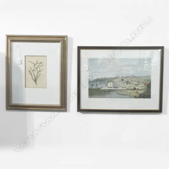 2 PRINTS; BOTANICAL & AUCKLAND 1852 270x420mm