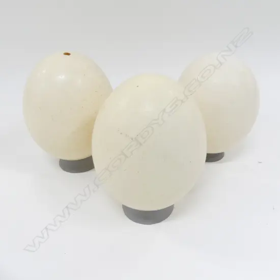 3 OSTRICH OR EMU EGGS