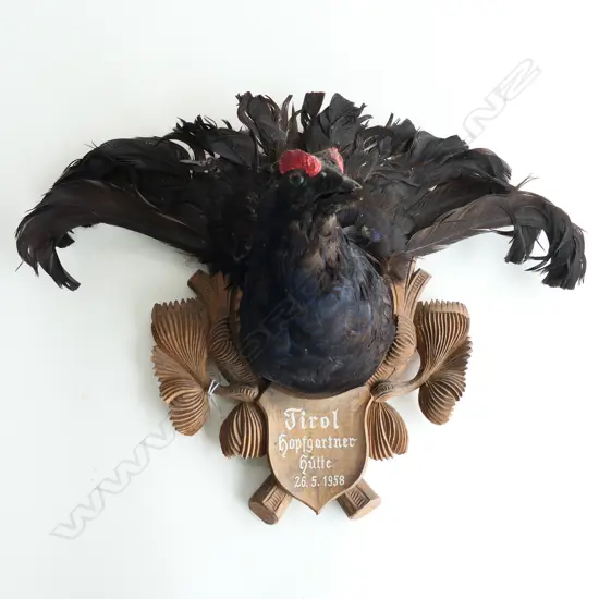TAXIDERMY BIRD ON CARVED WOODEN PLAQUE 'TIROL HOPFGARTNER HUTTE 26.5.1958' H.330mm