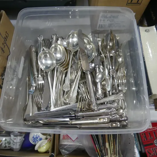 BOX LOT ASHBERRY SILVER PLATE CUTLERY