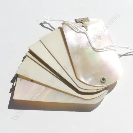 C1900 MOTHER OF PEARL COVERED POCKET NOTE BOOK W 6 IVORY 'PAGES' swivelling 
