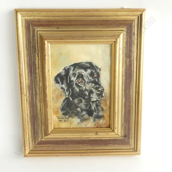 THELMA KAY, ANGUS, OIL ON BOARD, SIGNED 1968 110 X 165MM