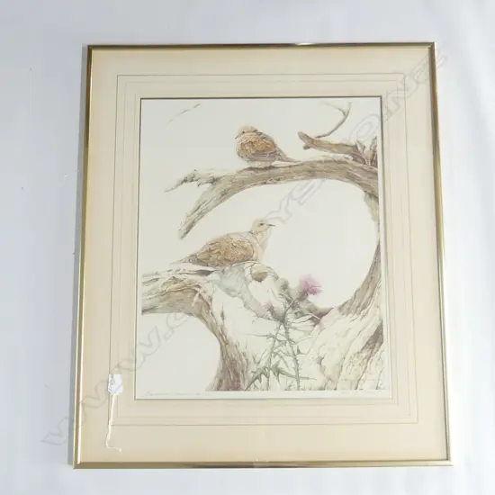 JAQUIERY, Merrilyn (NZ 1948-), Barbary Doves, Lithoprint 188/250, signed in print, 530mm x 43.50mm