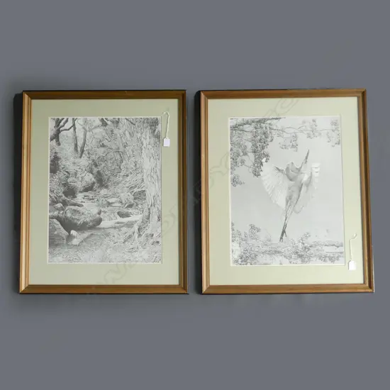 2 FRAMED BRIAN MOORE LTD ED. PRINTS 186/500, 580 X 440MM 1986 