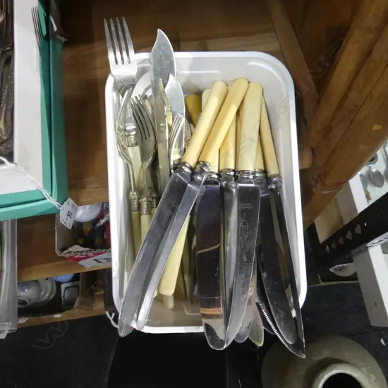ASST. CUTLERY INCL. IVORINE 'BONE' HANDLED KNIVES