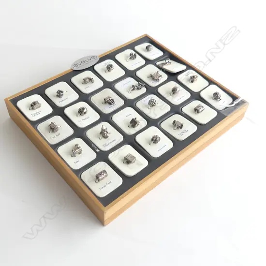 TRAY 24 ASST EVOLVE CHARMS, EACH NEW ON CARD 