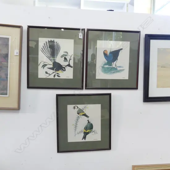 THREE VINTAGE BILL HOWARD PRINTS - NZ BIRDS - 340MMX370MM