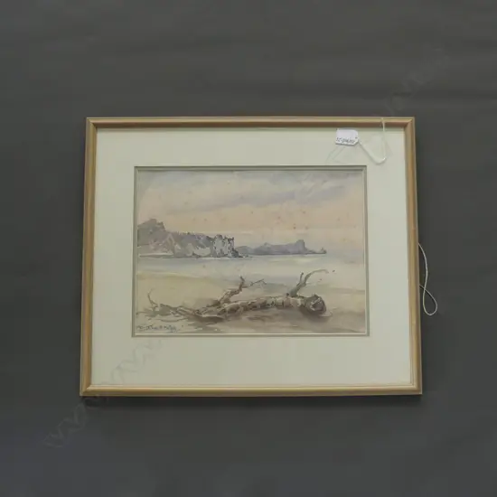 BIRCHNELL DELPH W/C WHANGAREI HEADS to distant Langs Beach. 250x 340mm