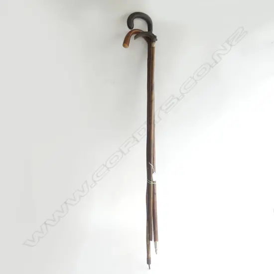 3 ASST WALKING STICKS 