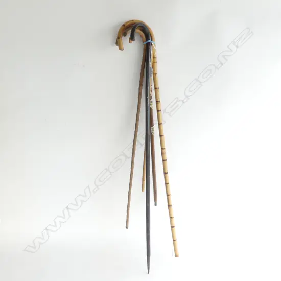BUNDLE 5 WALKING STICKS
