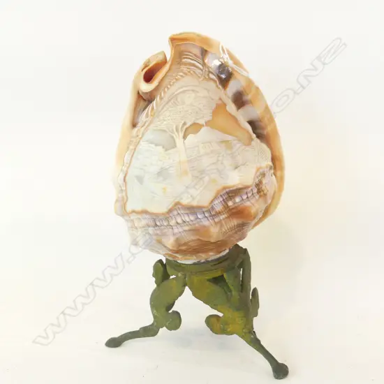 SCRIMSHAW SHELL ON BRASS STAND H. 200MM
