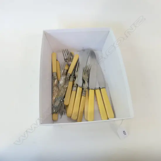 BOX ASST BONE HANDLE KNIVES & FORKS 