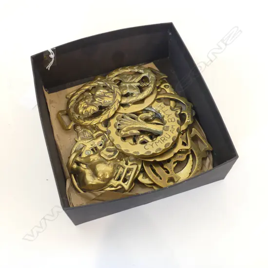 BOX HORSE BRASSES 