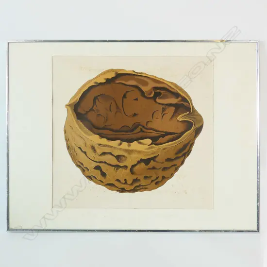 MICHAEL SMITHER, WALNUT, SCREENPRINT, 1976, 400 x 450mm, surface damage & crack to glass
