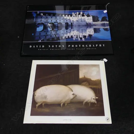 2 LG PRINTS; CHATEAU 'DAVID NOTON PHOTOGRAPHY' & 'A PAIR OF PIGS' 540x645mm