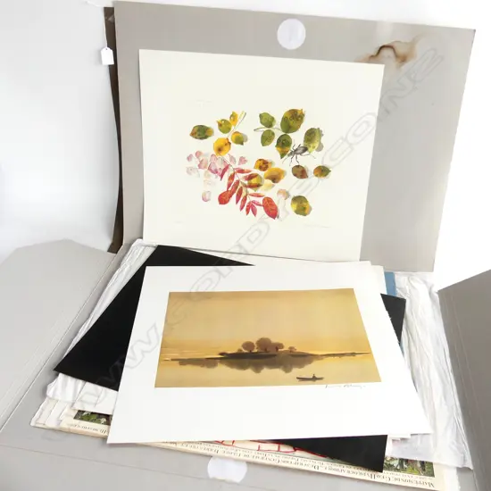 LG FOLIO ASST. ART PRINTS; BOTANICAL, LANDSCAPES ETC