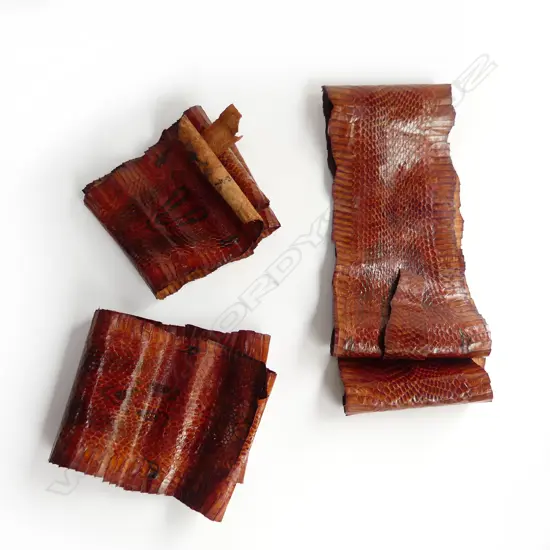 THREE SNAKE SKINS L.1019 - 1230mm