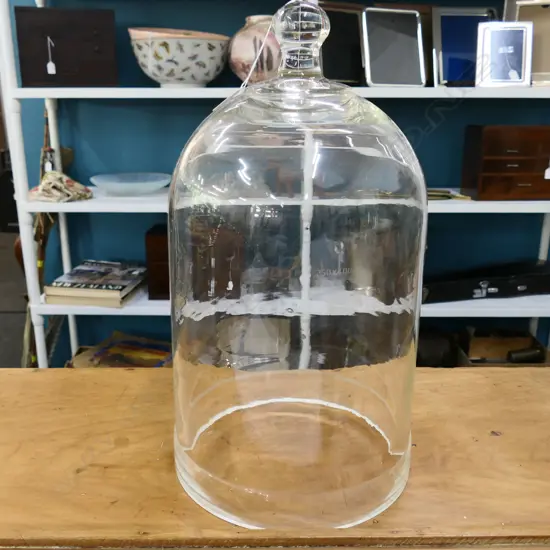 GLASS CLOCHE H.450mm