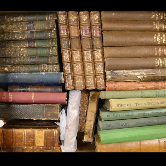 BOX LOT BOOKS; OLD LITERATURE