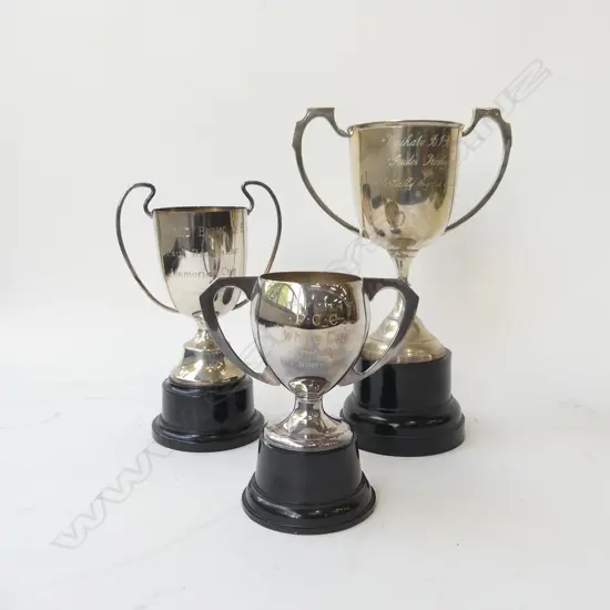 3 EP TROPHIES H.290mm