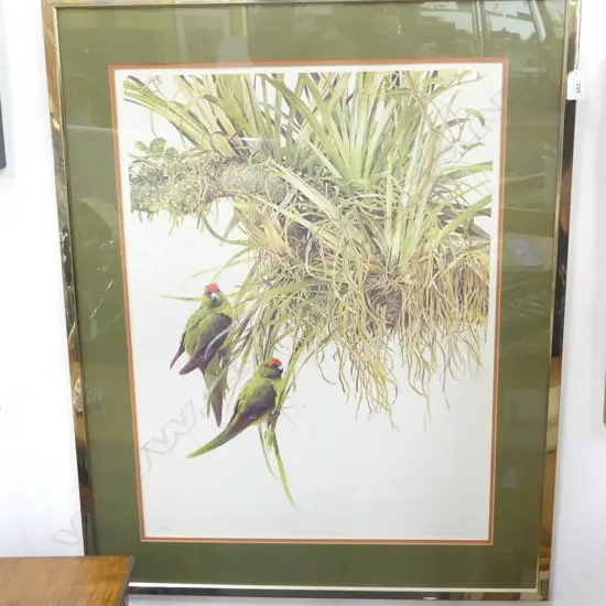 RAYMOND CHING 'RED-CROWNED PARAKEETS' SIGNED PRINT 303/850 670x500mm