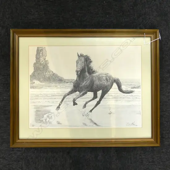 BRIAN MOORE, STALLION, PRINT 1990 704/800 360x490mm