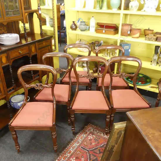 6 VICTORIAN MAHOGANY BALLOON BACK DINING CHAIRS - 1 REPAIRED