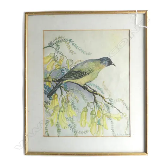 B.M. MALLETT W/C 'BIRD IN KOWHAI TREE'