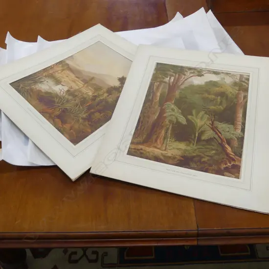 FOLIO OF EARLY NZ UNFRAMED PRINTS J GULLY ETC