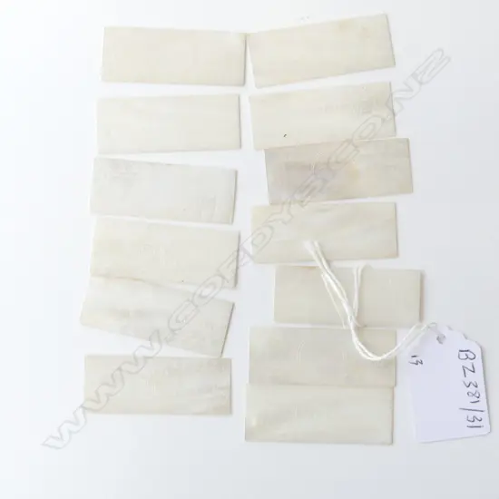 THIRTEEN MOTHER OF PEARL GAMING TOKENS ENGRAVED WITH CHINESE SCENES L.45MM