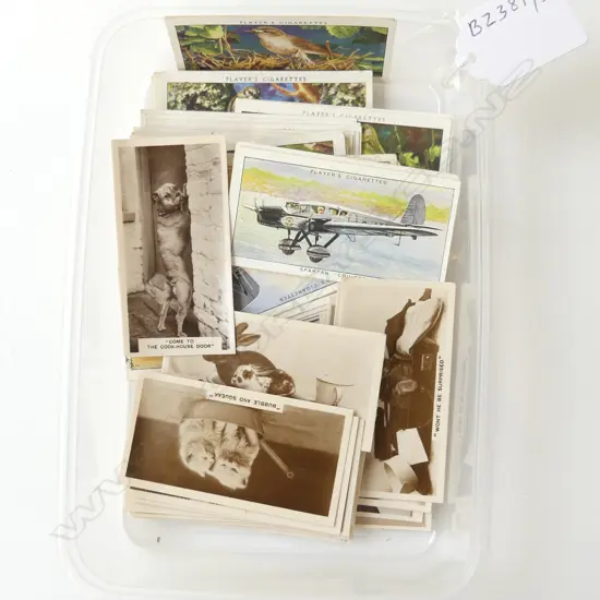 90 CIGARETTE CARDS – 33 AREOPLANES, 33 BIRDS, 24 ANIMALS