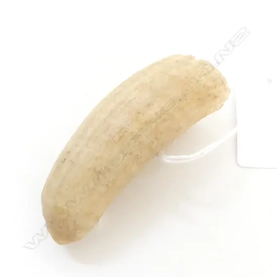 AN OLD WHALES TOOTH L70MM