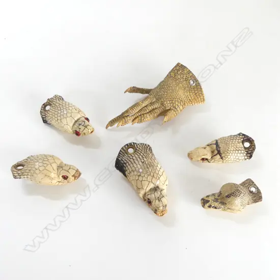 SMALL COLLECTION OF TAXIDERMIED  5 SNAKES HEADS & A LIZARDS FOOT