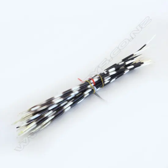 PORCUPINE QUILLS L.350mm