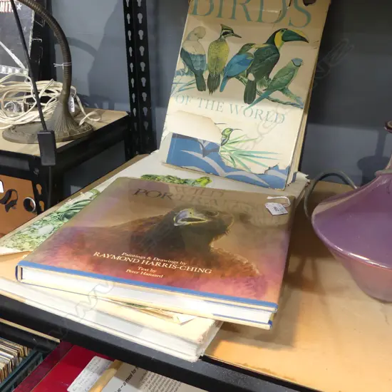 3 HARD COVER BIRD BOOKS; CHING WILD PORTRAITS & PAINTINGS + OTHER