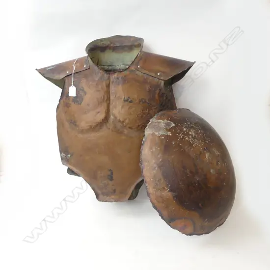 METAL TORSO ARMOUR & SHIELD 450mm dia 