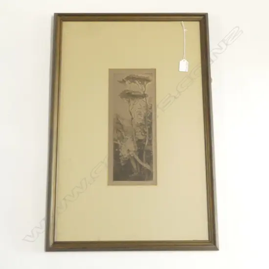 TREVOR LLOYD, CLEMATIS, ETCHING, 320 x 130mm