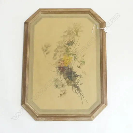 c1900 ARTIST UNKNOWN ink & watercolour WILD FLOWERS 450 x 300mm