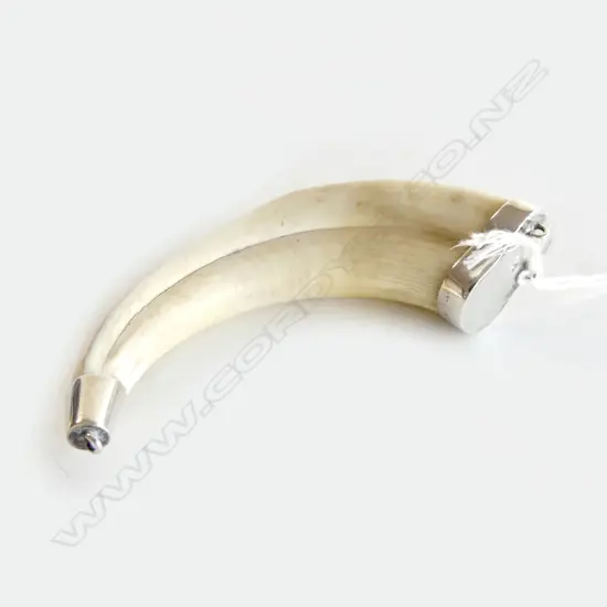 VINTAGE TUSK PENDANT I w SILVER CAPS, L.120mm