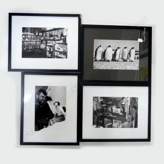 4 1960s US NAVY PHOTO PRINTS OF PENGUINS & SCOTT BASE ANTARCTICA 230x340mm 