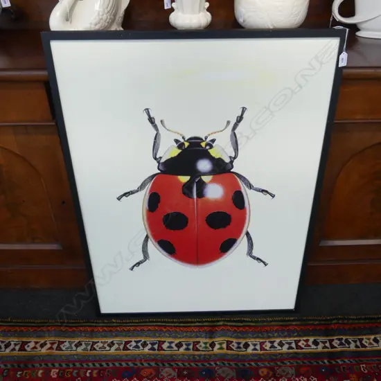LG LADYBUG PRINT 990x735mm