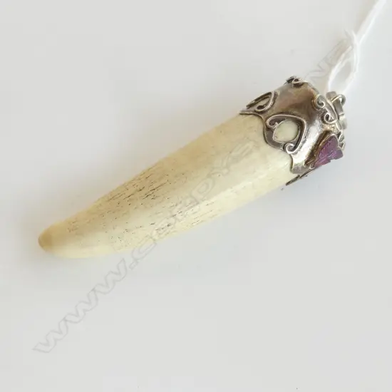 WHALES TOOTH PENDANT w. SILVER & PINK TOURMALINE MOUNT L.90mm