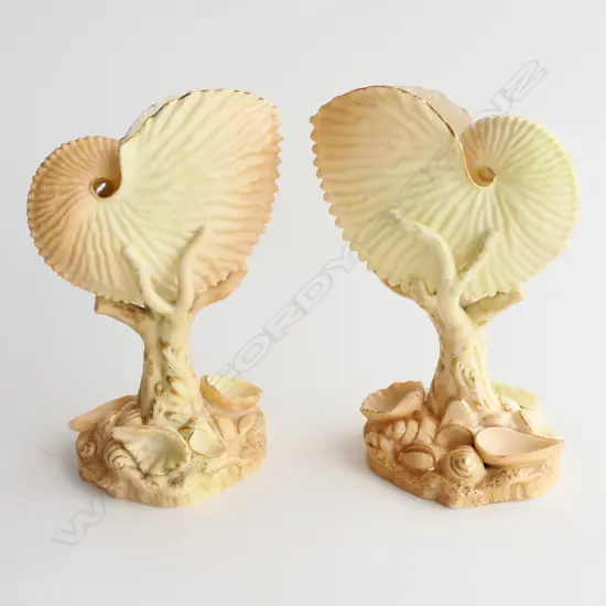 PR ROYAL WORCESTER NAUTILUS SHELLS w GOLD HI-LIGHTS H.160mm