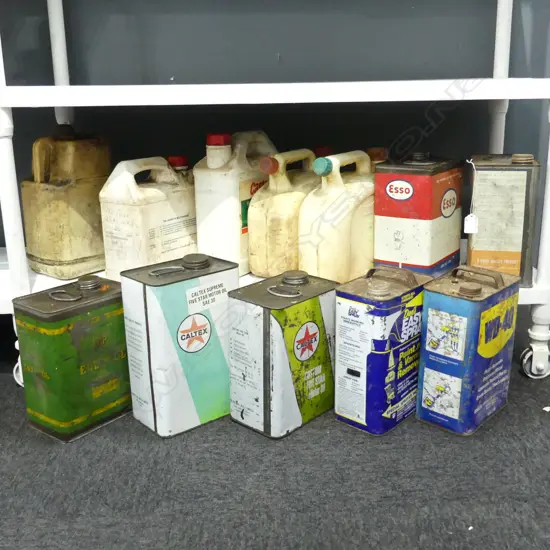 12 ASST. PETROL CANS