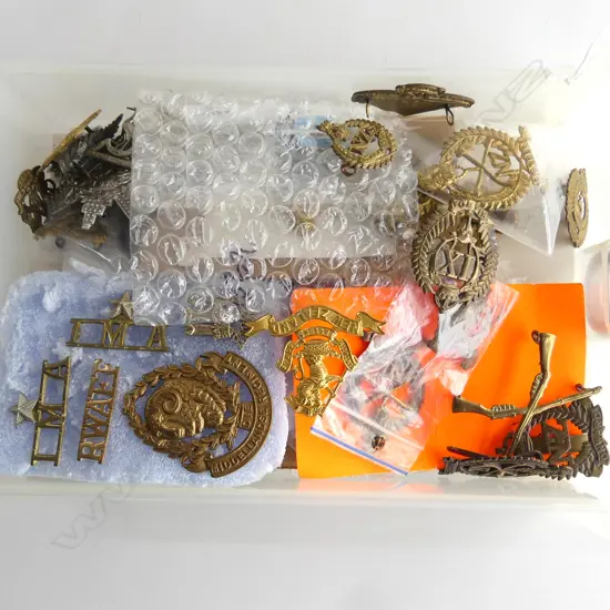 SMALL TRAY OF 40 MILITARY HAT BADGES SHOULDER BADGES ETC