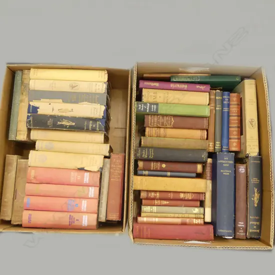 2 BOXES BIOGRAPHY BOOKS