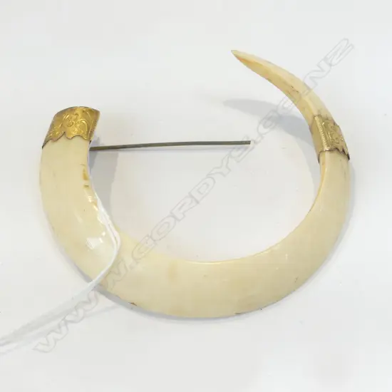 LG 9CT TUSK BROOCH W.100mm