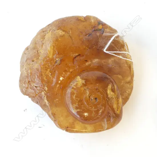 KAURI GUM PIECE W.135mm